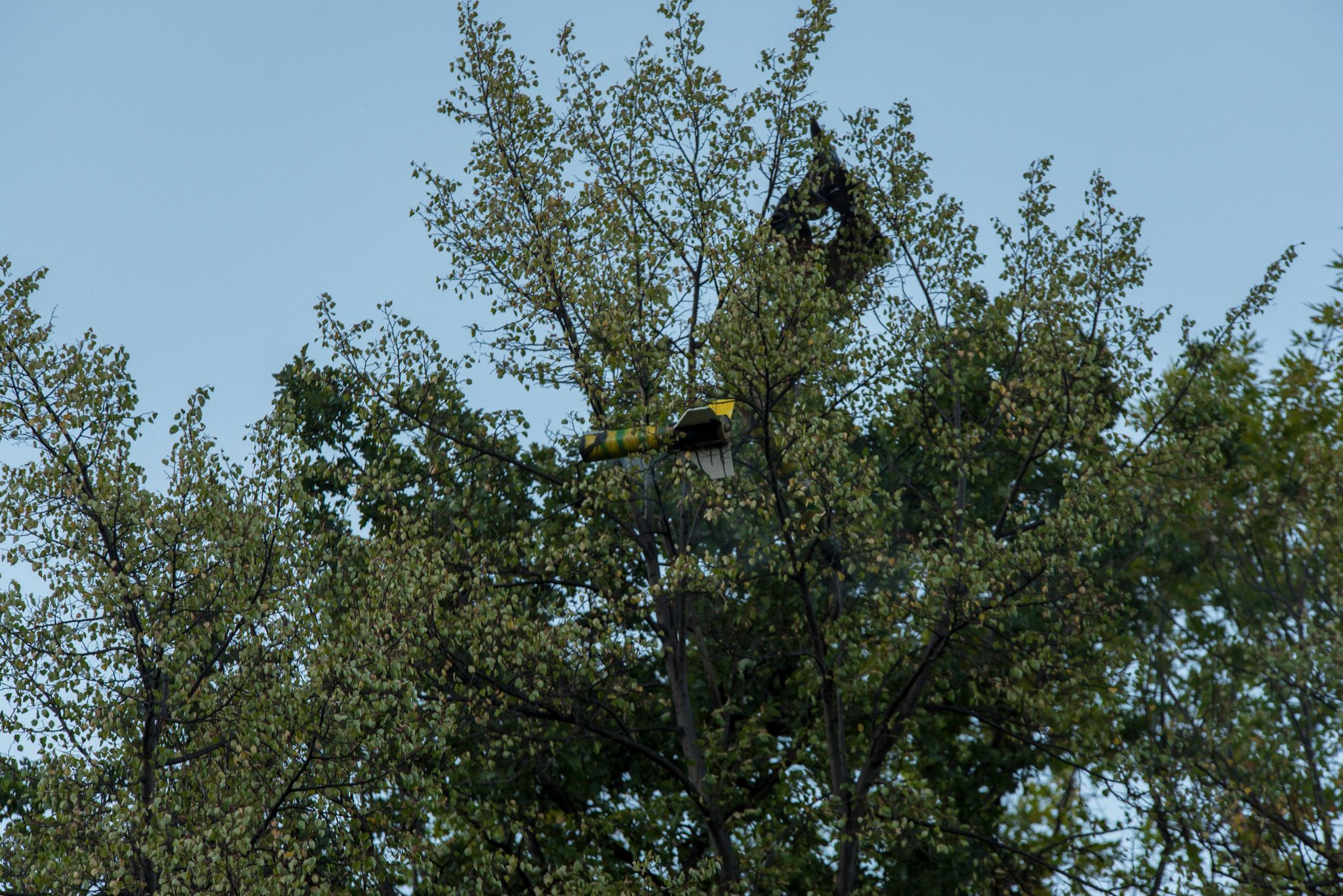 VEWD_Odlotowa_Impreza_Integracyjna (25)